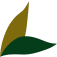 Typica logo